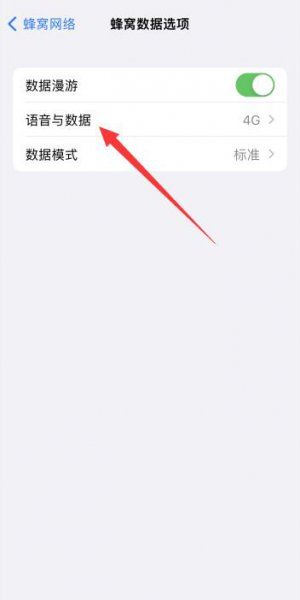 苹果13网络怎么设置