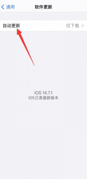 苹果手机打视频退出就没有画面怎么设置