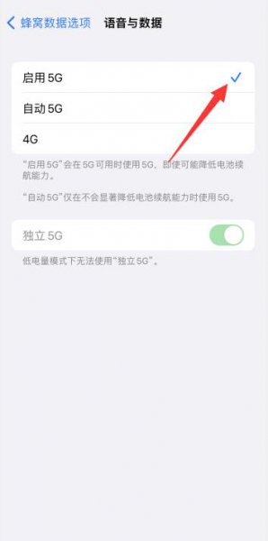 为什么苹果13不显示5G