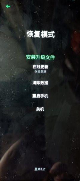 oppo开机就进入coloros恢复模式