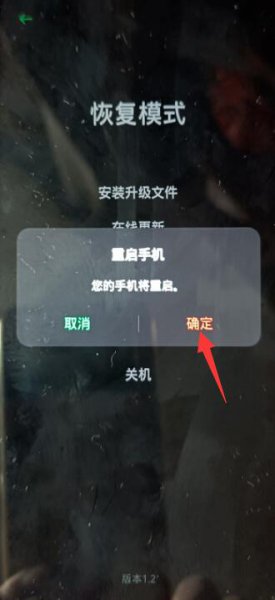 oppo开机就进入coloros恢复模式