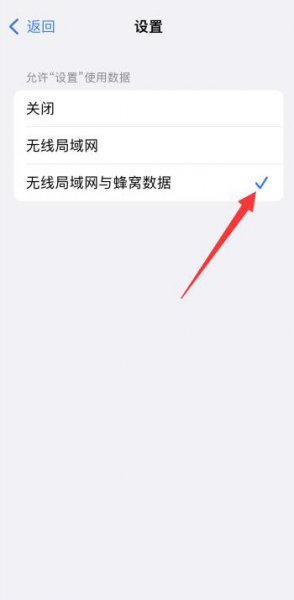 苹果手机接入互联网以登录iphone什么意思