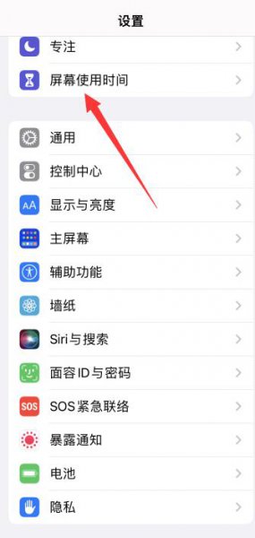 苹果手机删除不了app怎么回事