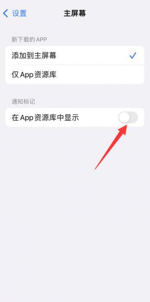 苹果app资源库可以隐藏吗
