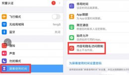 ipad怎么取消下载密码 ipad怎么取消下载密码用指纹