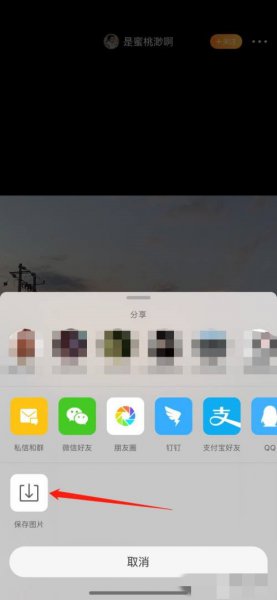 微博国际版的live图怎么保存