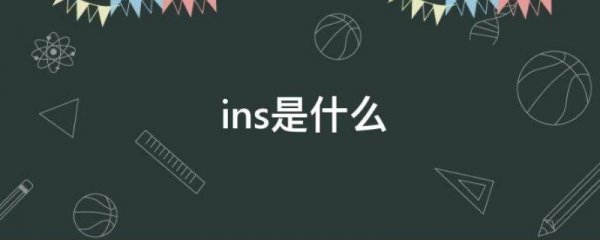 ins全称