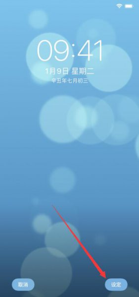 苹果主题在哪换