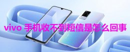 vivo手机收不到短信怎么办 vivo手机收不到短信是怎么回事
