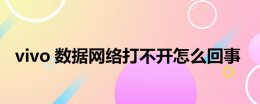 vivo数据网络打不开怎么回事 vivo手机打不开数据网络怎么办