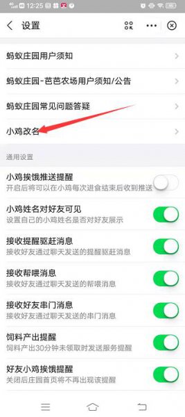 蚂蚁庄园小鸡改名字在哪里