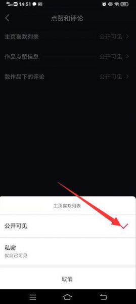 抖音怎么开启喜欢让人看