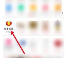 多多买菜能退款吗 拼多多里的多多买菜能退款吗