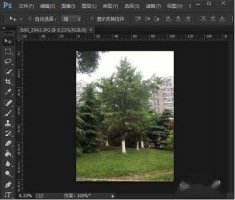 ps去掉遮挡物 ps去除图片上的遮挡物