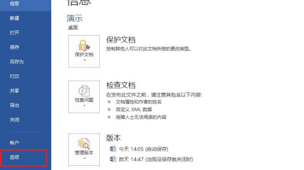word开发工具选项卡在哪