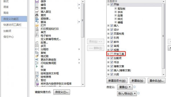 word开发工具选项卡在哪