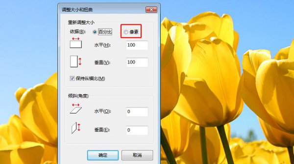 怎样调整图片大小kb