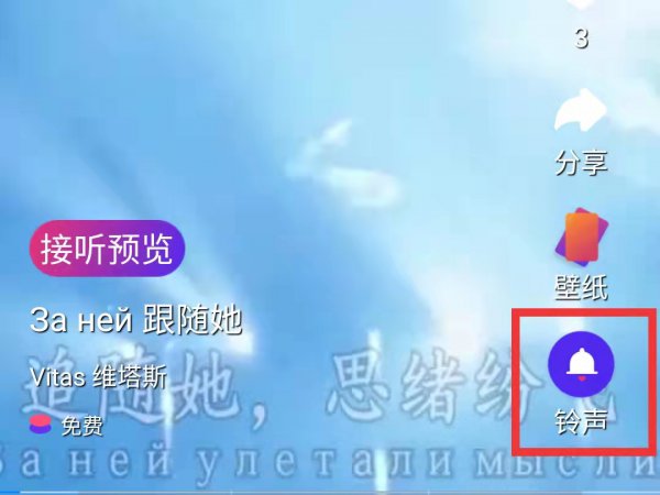 手机来电视频怎么设置