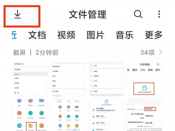 手机下载成功但是找不到文件