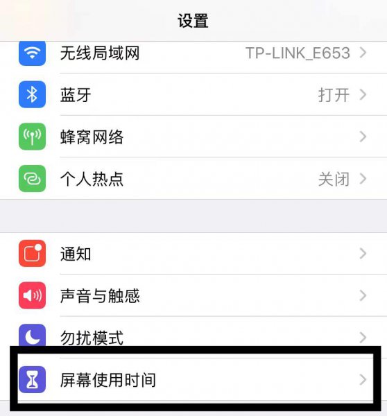 苹果手机访问受限制怎么解开