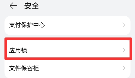 软件加密怎么设置