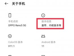 oppo开发者选项怎么开启 oppo手机开发者选项怎么打开
