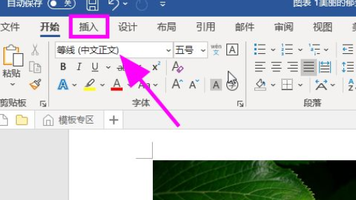 word中图片画圈标注