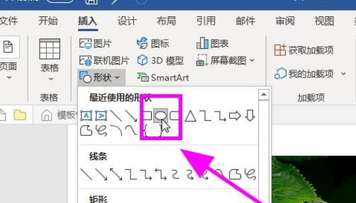 word中图片画圈标注