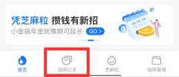 支付宝芝麻go怎么关闭 支付宝芝麻Go怎么关闭不了