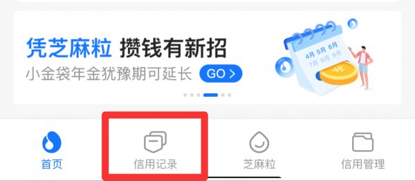 支付宝芝麻go怎么关闭