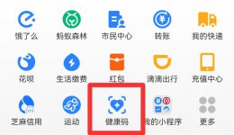 接种记录在手机上怎么查 疫苗接种记录在手机上怎么查