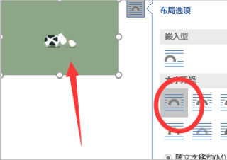 为什么word里面照片显示不出来