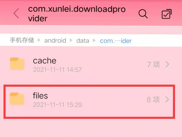 新版手机迅雷下载的文件在哪