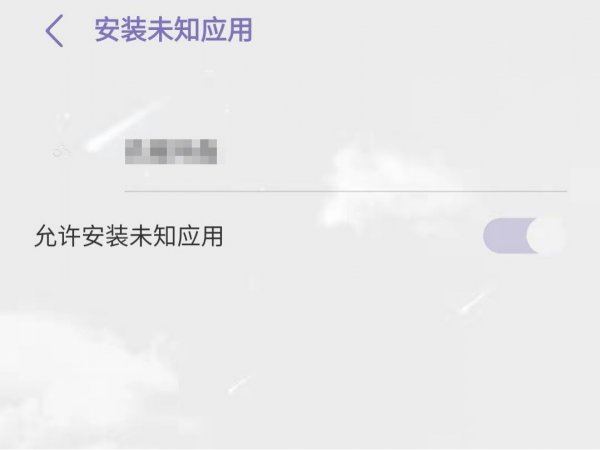 vivo下载的软件安装不了,去设置里确认