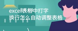 excel表格打字如何换行 excel表格中打字换行怎么自动调整表格