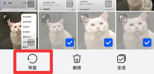 怎样把删除的照片恢复到相册