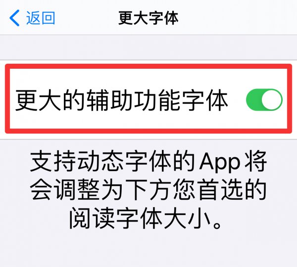 苹果手机字体大小怎么设置不了