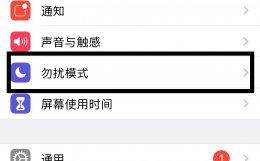 苹果手机怎样设置完全静音 苹果手机怎么设置完全静音
