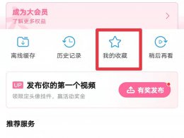 b站怎么查自己看了多少遍 b站怎么看一个视频看了多少遍