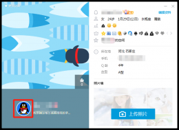 为什么qq头像变成企鹅 为啥qq头像会变成企鹅