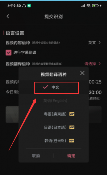 英文视频怎么翻译成中文字幕