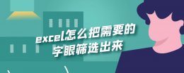 excel文字筛选怎么用 excel怎么把需要的字眼筛选出来