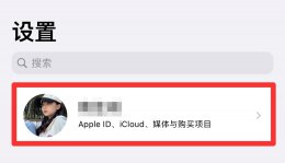 苹果id退出之后登录不了 苹果ID退出登录东西会没吗