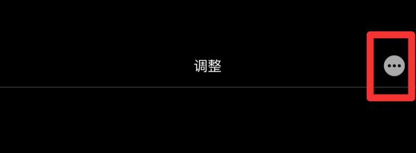 苹果照片放大镜圆圈在哪里