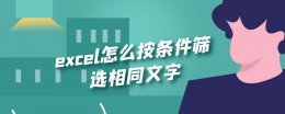 excel怎么按条件筛选相同文字 excel表格中怎么筛选两个文字中的不一样