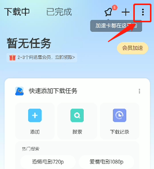 手机迅雷下载的文件在哪里