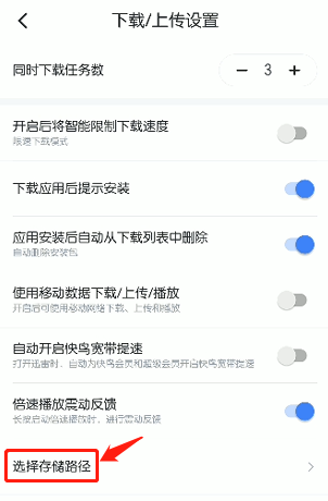 手机迅雷下载的文件在哪里