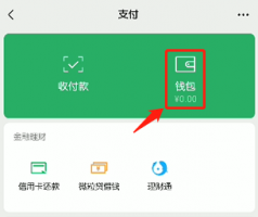 花呗闪付怎么开通 微信芝麻闪呗怎么开通