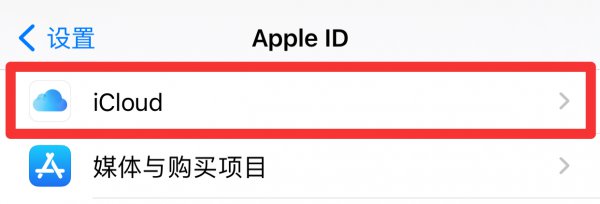 苹果共享相簿怎么开
