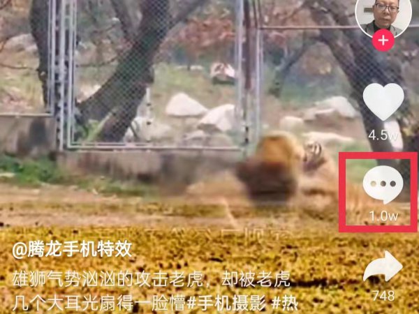 抖音怎么发live动态图片?